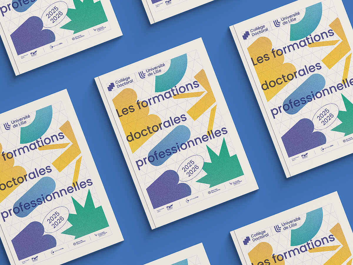 Les formations doctorales professionnelles